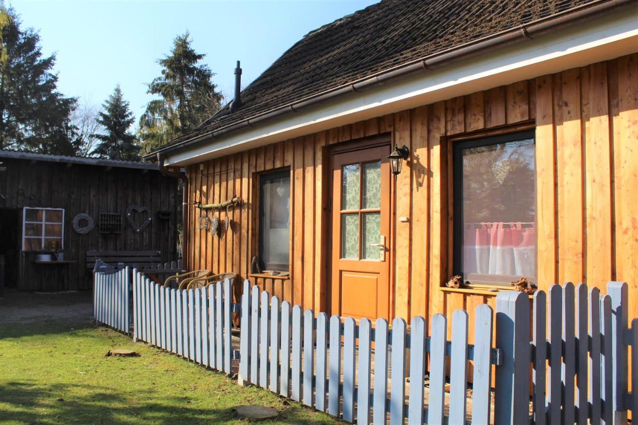 Ferienhaus/Ferienwohnung Reinecke Hodenhagen Ngoại thất bức ảnh